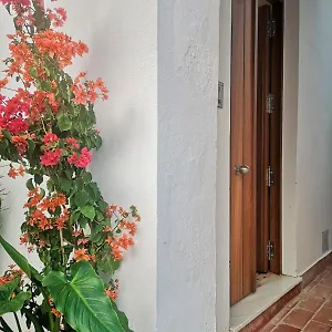  Apartamento Erizo 3 Loft Diafáno En El Centro Histórico